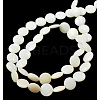 Natural Shell Beads Strands X-PBB-XXBK024Y-13-2