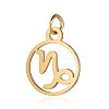 201 Stainless Steel Charms STAS-T036-T513-10-1