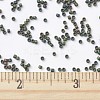 MIYUKI Delica Beads SEED-J020-DB0327-4