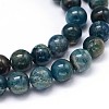 Round Natural Apatite Beads Strands G-F222-04-8mm-2