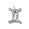 304 Stainless Steel Micro Pave Cubic Zirconia Charms STAS-Z107-09P-08-1