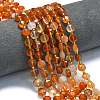 Natural Red Agate Beads Strands G-C116-A12-02-1