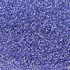 MIYUKI Delica Beads SEED-J020-DB0243-2