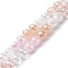 Transparent Glass Beads Strands GLAA-Q009-01C-1