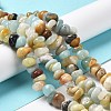 Natural Flower Amazonite Beads Strands G-M205-91-4