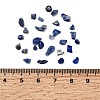 Natural Lapis Lazuli Chip Beads G-L453-05-5