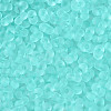 FGB Frosted Transparent Glass Seed Beads SEED-N013-06A-10-3
