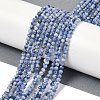 Natural Blue Spot Jasper Beads Strands G-A252-A02-02-2