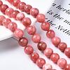 Natural Chalcedony Beads Strands G-S333-10mm-007-4