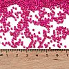 Baking Paint Glass Seed Beads X-SEED-S042-05B-69-4