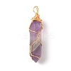 Natural Amethyst Double Terminated Pointed Pendants G-TAC0010-04G-02-1