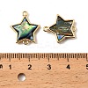 Natural Paua Shell Star Connector Charms KK-G538-42G-3