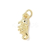 Brass Micro Pave Cubic Zirconia Charms ZIRC-I356-13G-03-1
