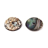 Natural Paua Shell Donut/Pi Disc Charms SHEL-T020-11-2