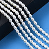 Natural Cultured Freshwater Pearl Beads Strands PEAR-N012-03G-6