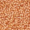TOHO Round Seed Beads SEED-TR11-0391-2