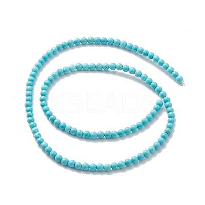 Natural Howlite Beads Strands TURQ-K005-01B-1