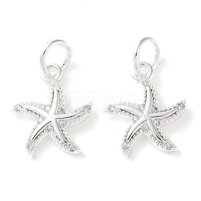 Rack Plating Brass Micro Pave Clear Cubic Zirconia Charms KK-D097-04S-1