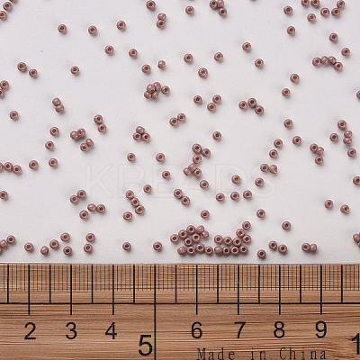 12/0 FGB Grade A Round Glass Seed Beads SEED-N001-A-1047-1