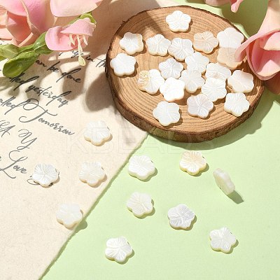 30Pcs Natural Freshwater Shell Beads Strands SHEL-CJ0001-30-1