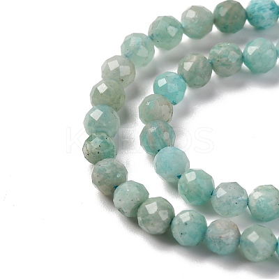 Natural Amazonite Beads Strands G-G140-A18-03-A-1