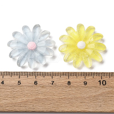 Transparent Resin Cabochons CRES-I046-04-1