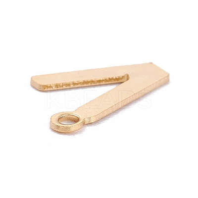 201 Stainless Steel Charms STAS-C021-06G-V-1