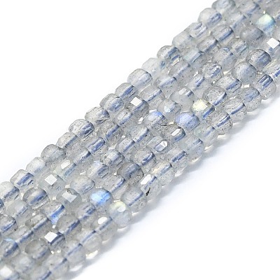 Natural Labradorite Beads Strands G-P457-B01-19-1