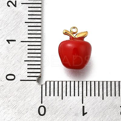 304 Stainless Steel Charms STAS-R159-42G-02-1