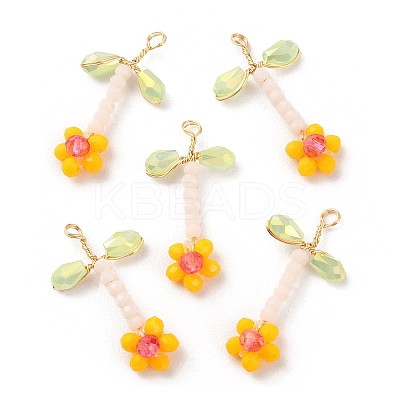 Glass Beaded Pendants GLAA-K060-02G-03-1