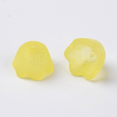 Transparent Acrylic Beads Caps LS-X-PL543-2-1
