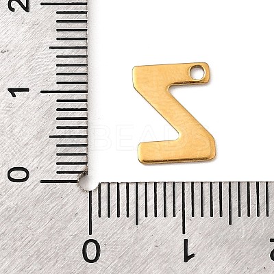 304 Stainless Steel Charms STAS-B093-12G-Z-1