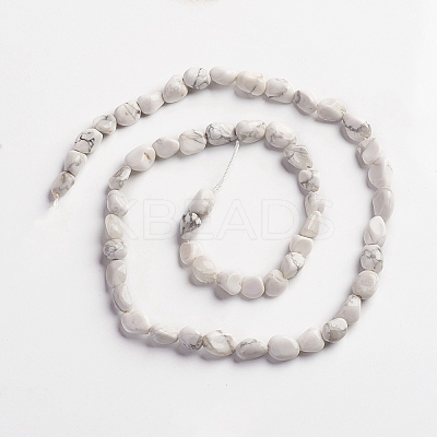 Natural Howlite Beads Strands LS-G-D0002-B34-1