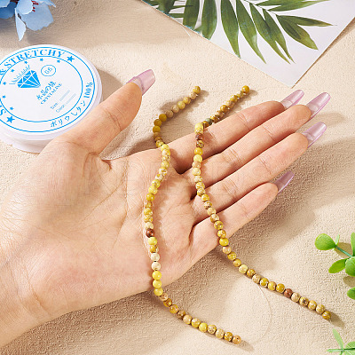 DIY Natural Regalite/Imperial Jasper/Sea Sediment Jasper Beads Bracelets  Making KIts DIY-TA0002-69E-1