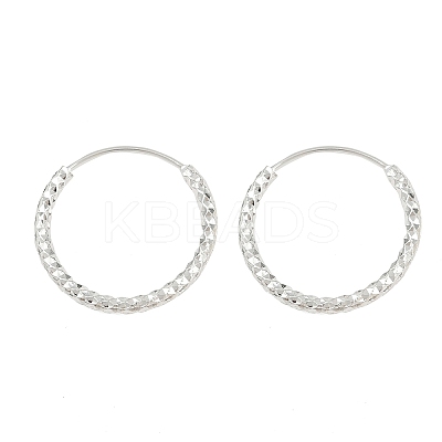 Brass Textured Hoop Earrings EJEW-F378-03C-S-1