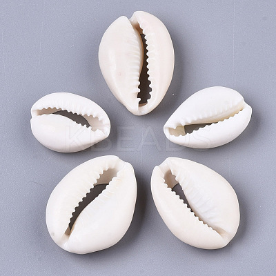 Natural Cowrie Shell Beads SSHEL-N034-34-1