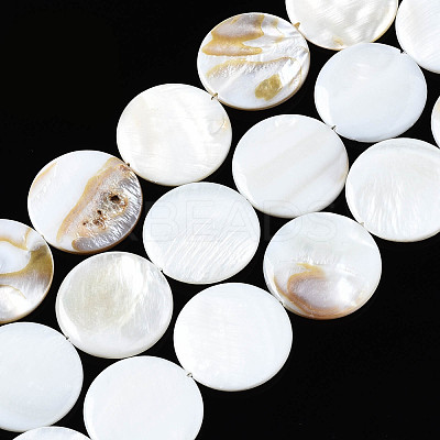Natural Freshwater Shell Beads Strands SHEL-Q024-006-1