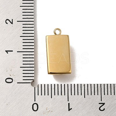 304 Stainless Steel Pendants STAS-L022-135A-G-1