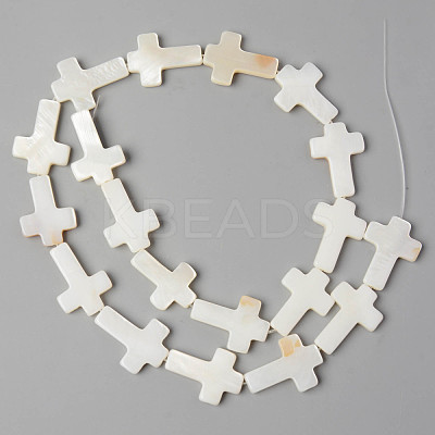 Natural Freshwater Shell Beads Strands X-SHEL-N026-74-1