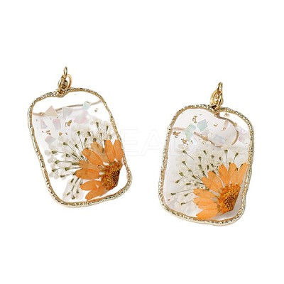 Resin & Dried Flower Rectangle Dangle Earrings FS-WG21EF9-02-1