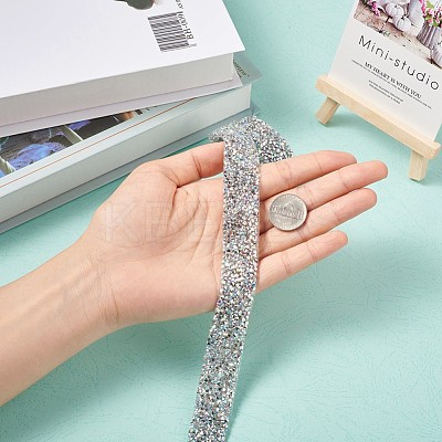 Glitter Resin Hotfix Rhinestone(Hot Melt Adhesive On The Back) OCOR-TAC0004-C-01-1