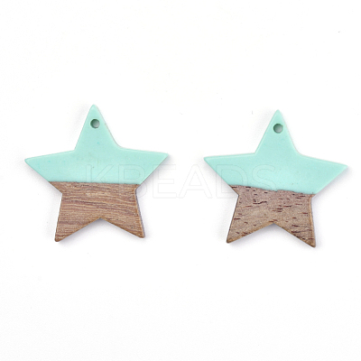 Resin & Walnut Wood Pendants RESI-T023-23C-1