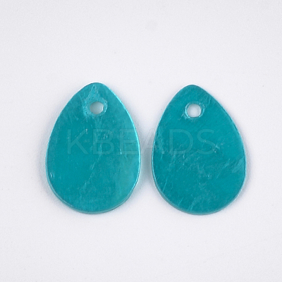 Spray Painted Capiz Shell Charms SSHEL-T006-10D-1