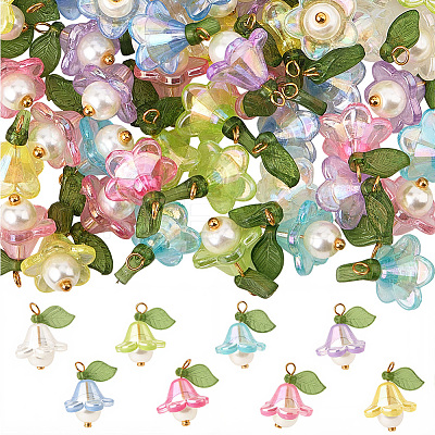 10 Sets Acrylic Charms FIND-SC0016-67-1