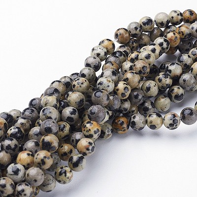 Natural Dalmatian Jasper Beads Strands GSR6mmC004-1