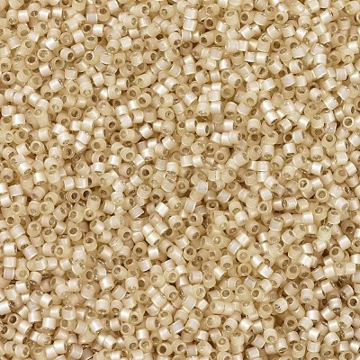 MIYUKI Delica Beads SEED-X0054-DB0621-1