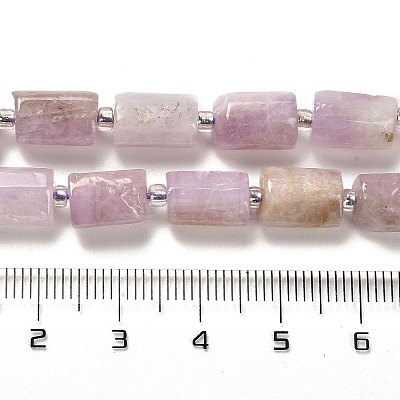 Natural Kunzite Beads Strands G-N327-06-36-1