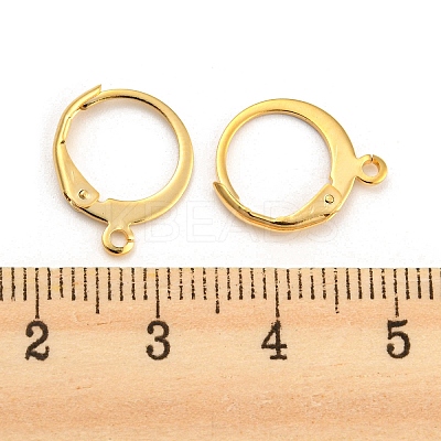 304 Stainless Steel Leverback Earring Findings STAS-D448-041G-1