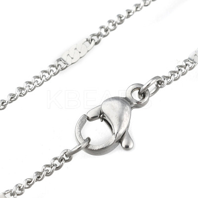 Non-Tarnish 304 Stainless Steel Link Chain Necklaces X-NJEW-F248-16A-P-1
