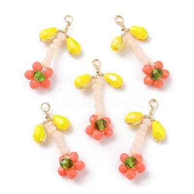 Glass Beaded Pendants GLAA-K060-02G-04-1